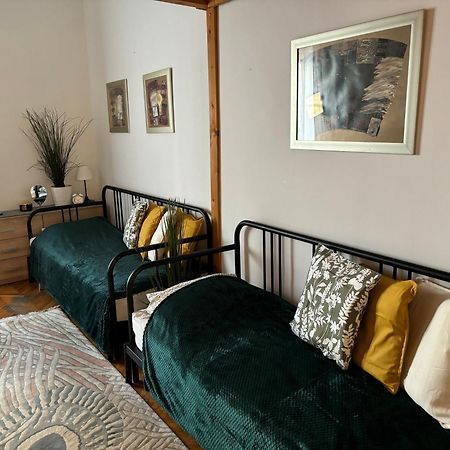 Central Apartment Next To The Elisabeth Bridge Budapest Exterior foto
